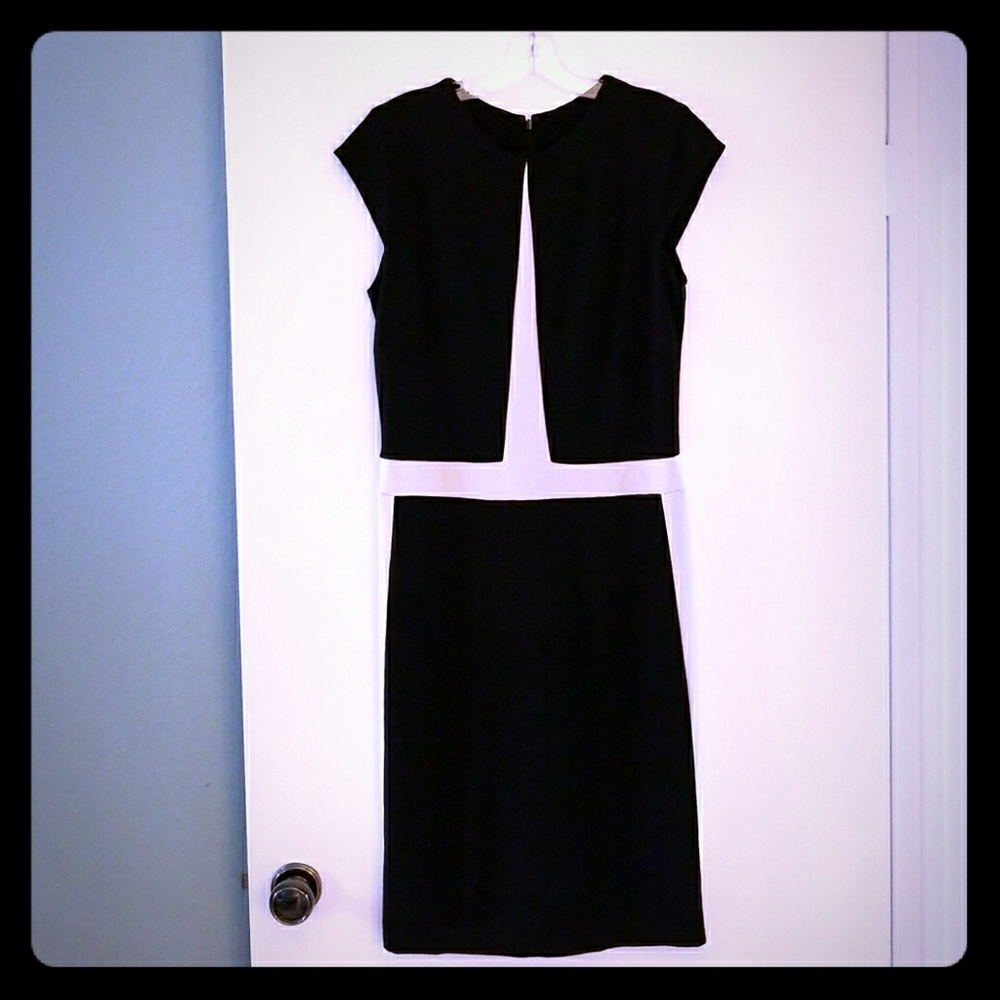 ABS Colorblock Sheath Dress